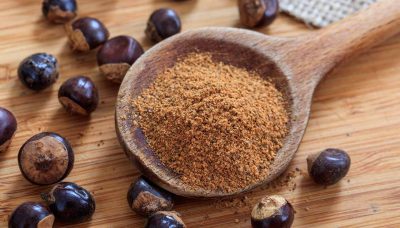 guarana bio en poudre