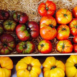 Recette Tarte à la tomate et moutarde