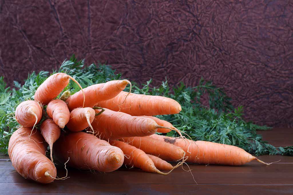 Carottes en deux façons