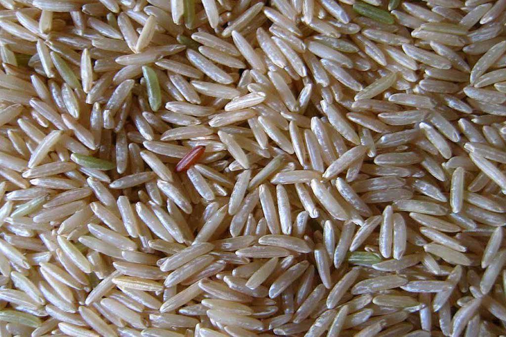 Recette Riz Basmati