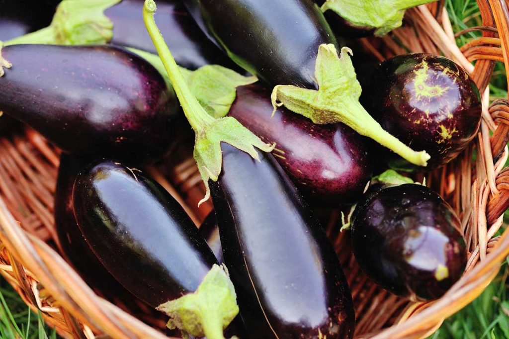 panier d'aubergines