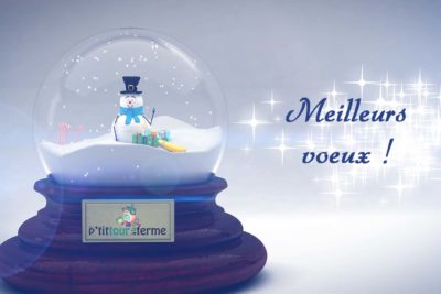 boule de noël